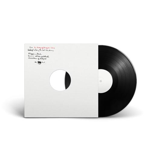 Paul McCartney The Boys Of Dungeon Lane limited first pressing white label vinyl LP mockup