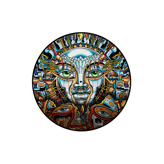 Sublime - Until The Sun Explodes Limited Edition Picture Disc Vinyl Record 2LP