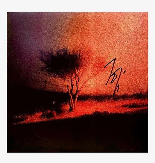 SIGNED Joji Piss In The Wind vinyl LP signed cover