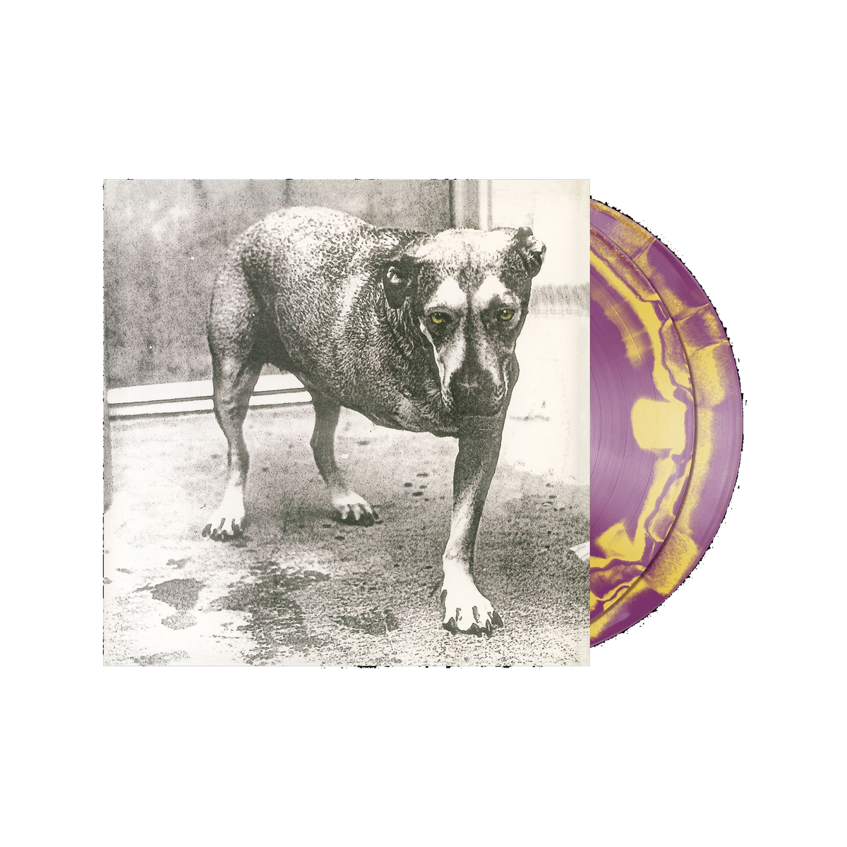 Alice In Chains self-titled limited anniversary edition orchid and canary yellow vinyl 2LP mockup