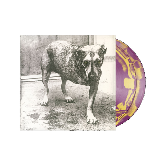 Alice In Chains self-titled limited anniversary edition orchid and canary yellow vinyl 2LP mockup