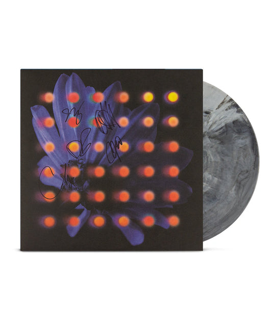 SIGNED Anberlin Nevertake limited edition grey marble vinyl LP autographed jacket mockup